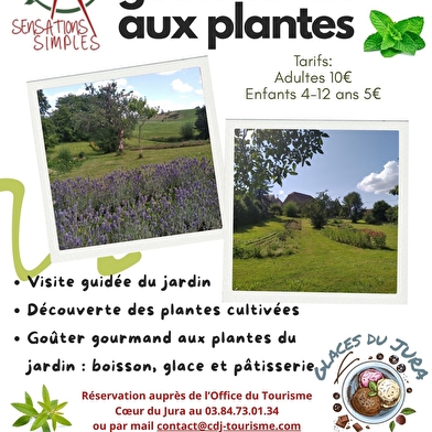Visite gourmande aux plantes