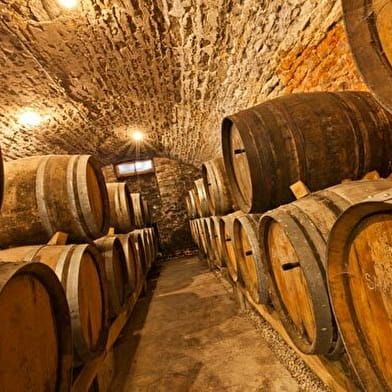 Domaine Credoz