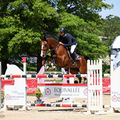 Concours Hippique - Saut d'obstacle Pro- Amateur - Finales cycles libres