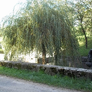 Fontaines, lavoirs et abreuvoirs de Pin - PIN