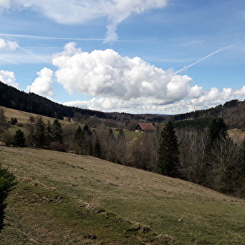La Combe du Creux - PONTARLIER