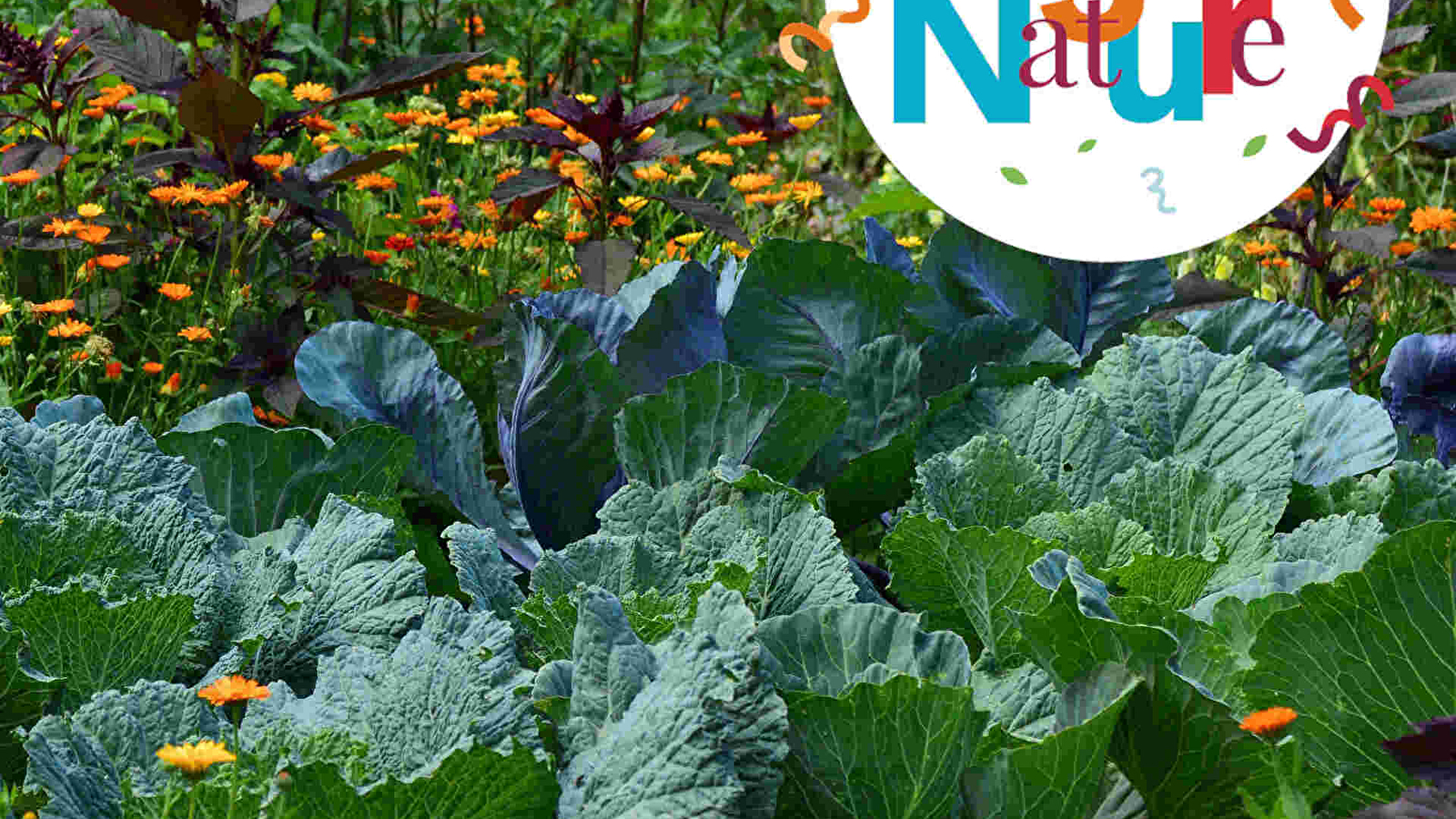 ATELIER FAMILLE 123 NATURE : FLEURS DU JARDIN AU BOUQUET
