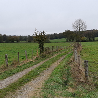 Circuit VTC-Gravel n°6 (rouge) Chemins des bois de Bresse