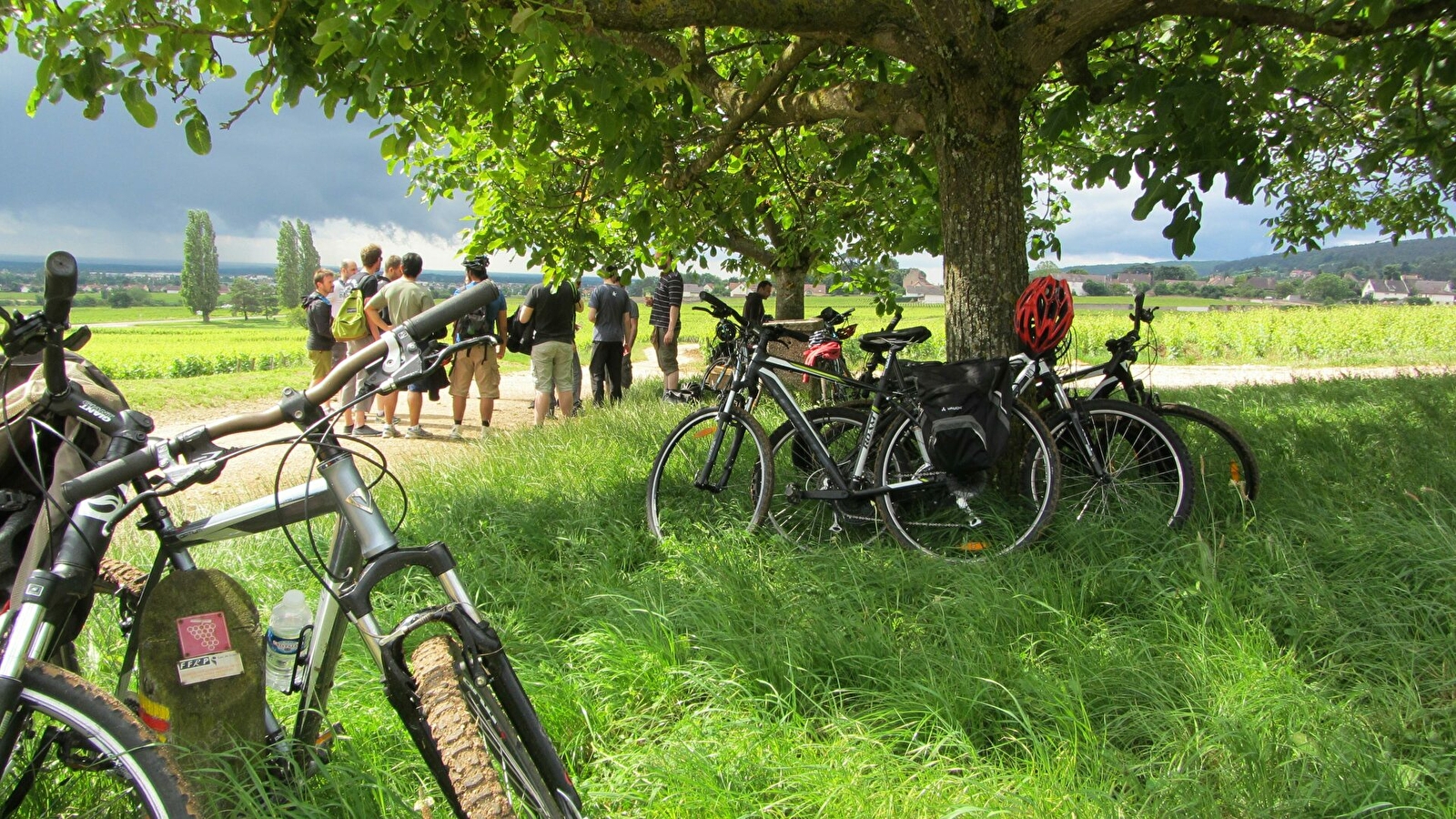 Balades Oenologiques à vélo 'Côte de Nuits Grand Cru' de Nuits-Saint-Georges à Gevrey Chambertin