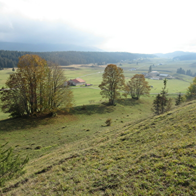 Trek-Découverte des Hautes-Combes du Jura avec Lucas Humbert