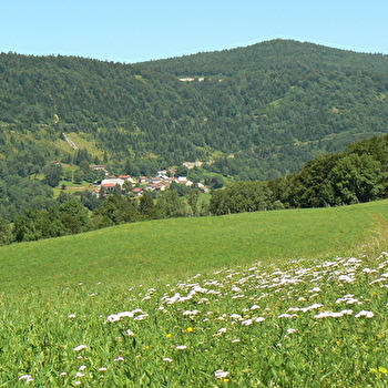 Les Cuisiniers - MORBIER