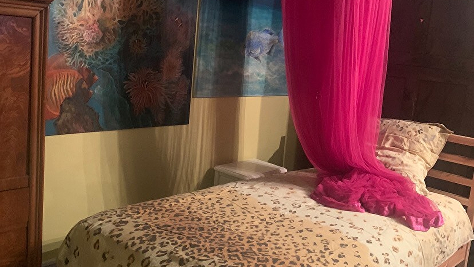 Les Filles Tresy & Chambre de la tante Camille