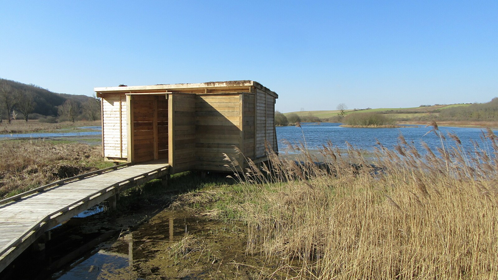 A la découverte des zones humides du marais de la Druyes !