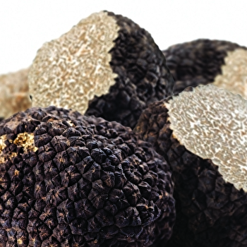 Route de la Truffe - NUITS-SAINT-GEORGES