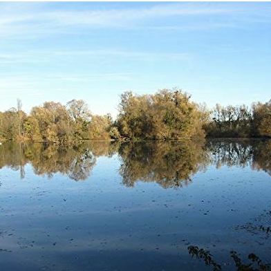 Vallée de l'Ognon