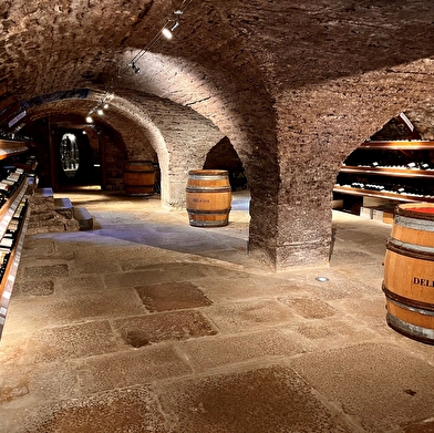 Exposition 'Les Forêts en Souffrance' & Dégustation de vins 