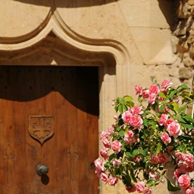 Château de Barnay