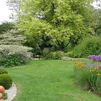 Le jardin des vieilles vignes