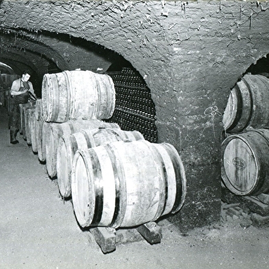 Les Dessous de Meursault