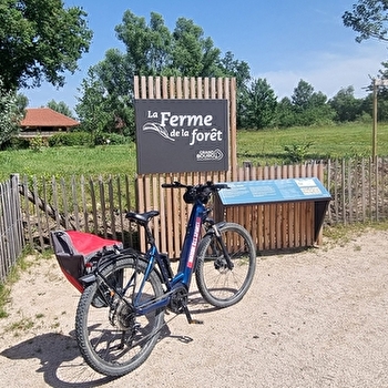 Liaison VTC (L3) Plaine Tonique - Mantenay - Ferme de la Forêt - MANTENAY-MONTLIN
