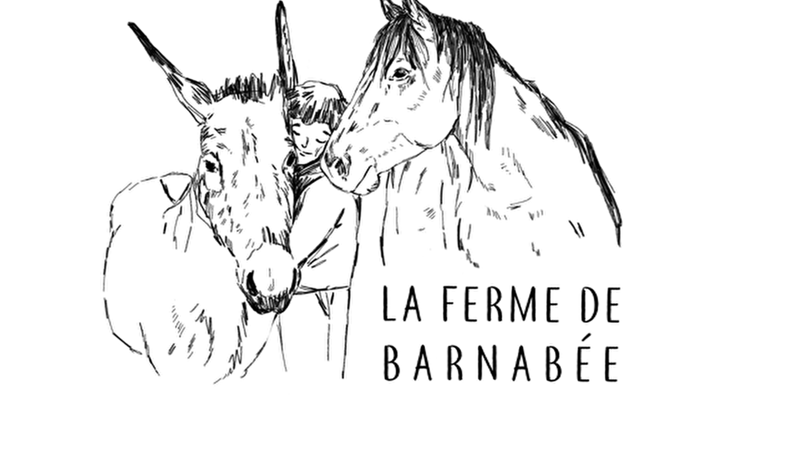 La ferme de Barnabée, médiation équine