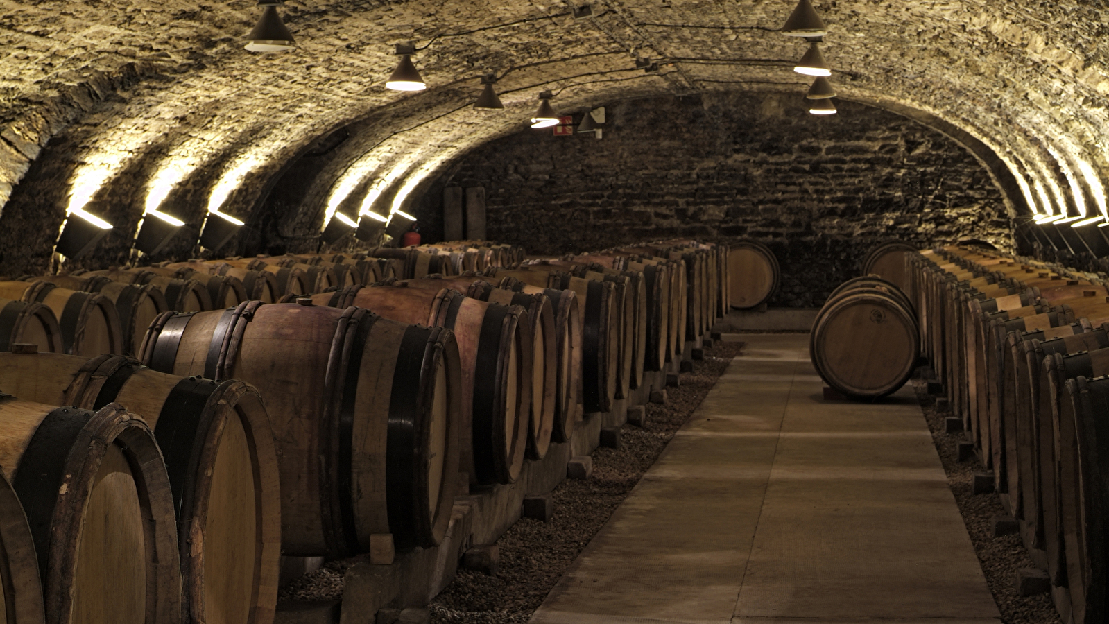 Hôtel-Dieu - Hospices de Beaune
Programmation 2024 - CHARITÉ
Ateliers des sens 'Arômes des caves'