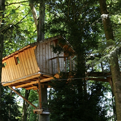 Cabanes dans les arbres