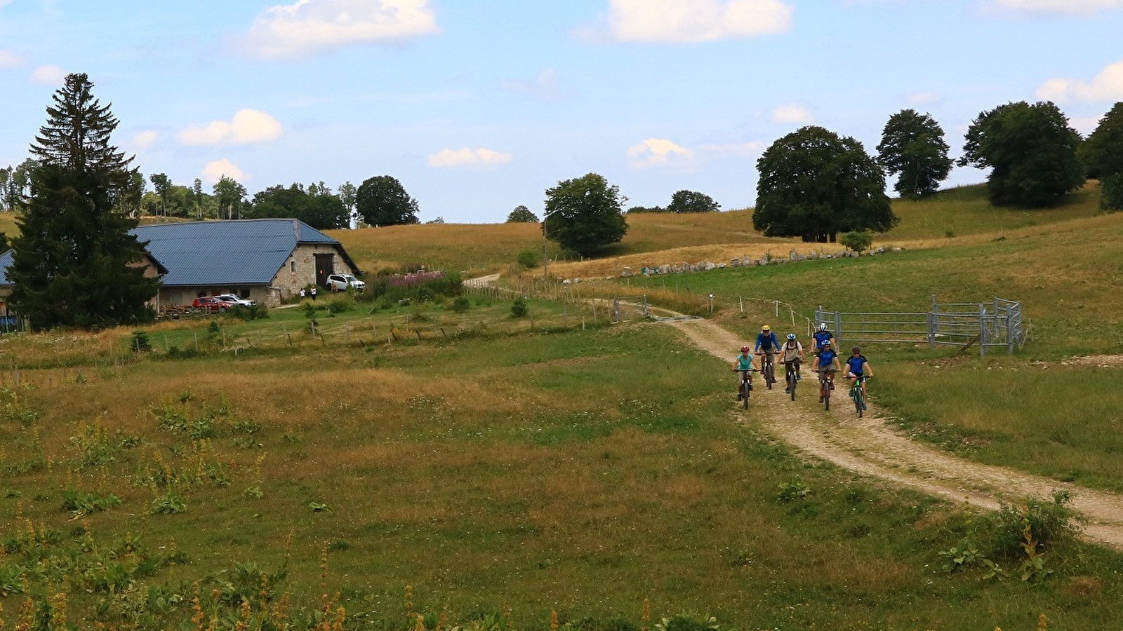 Parcours VTT 15 noir - Le grand tour du plateau de Retord - Espace FFC Ain Forestière