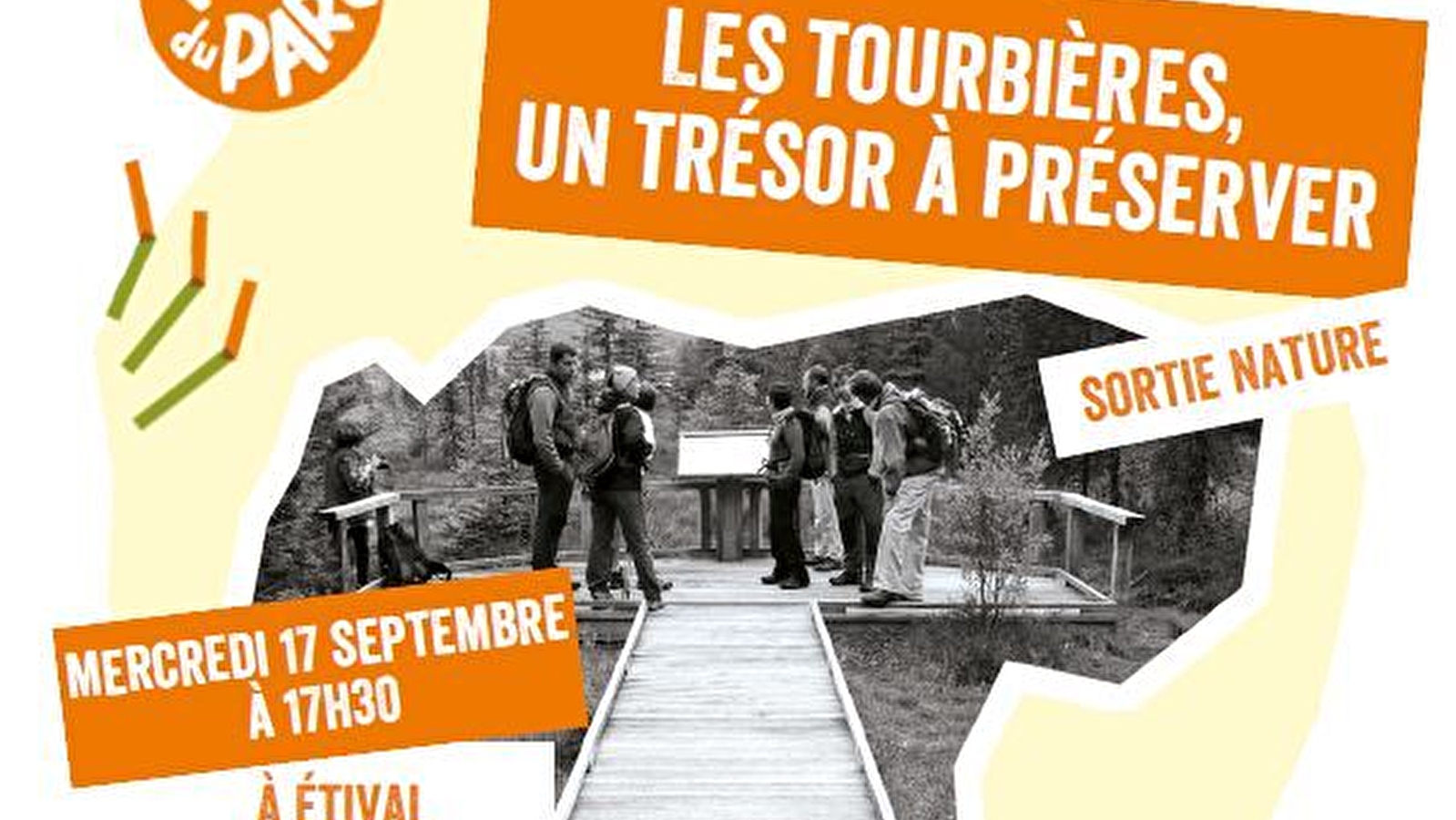 Sortie nature : les tourbières, un trésor à préserver