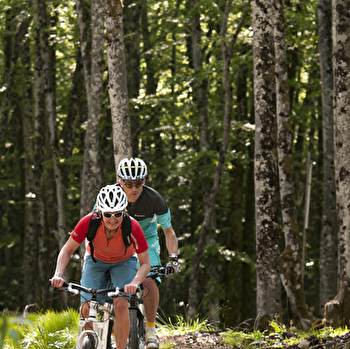 Tour du Risoux VTT n°17 - BELLEFONTAINE