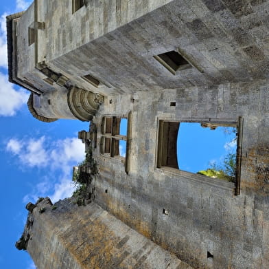 Château de Rochefort