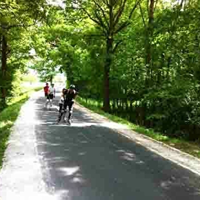 Voie verte  : le chemin vert