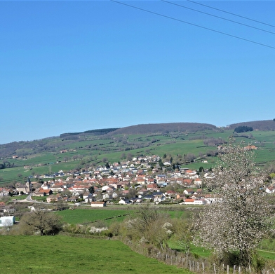 Le bois des Vignes 