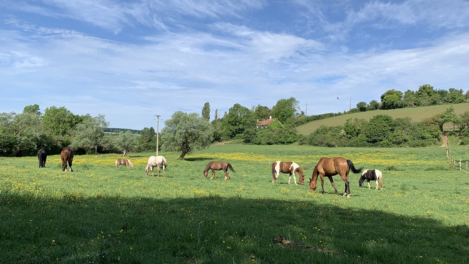 Ferme des Fontaines