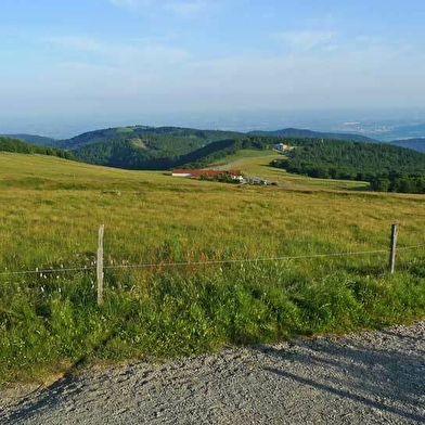 Sentier-découverte du Ballon d'Alsace