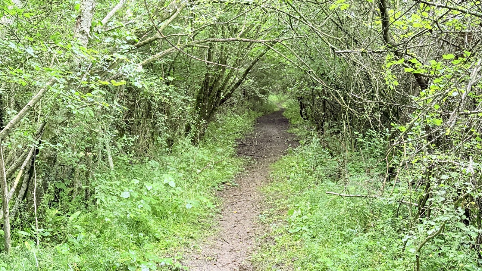 Entre bois et étangs - Circuit VTT n°2