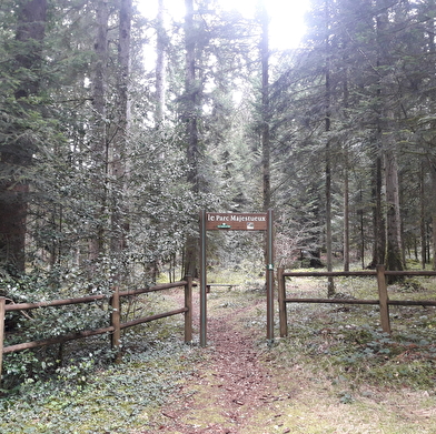 Le Théâtre Forestier