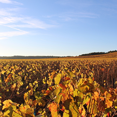 OeNolay tour - Cœur des Hautes Côtes de Beaune