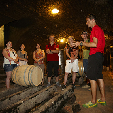 Location vélo : Bourgogne Evasion Beaune by Active Tours