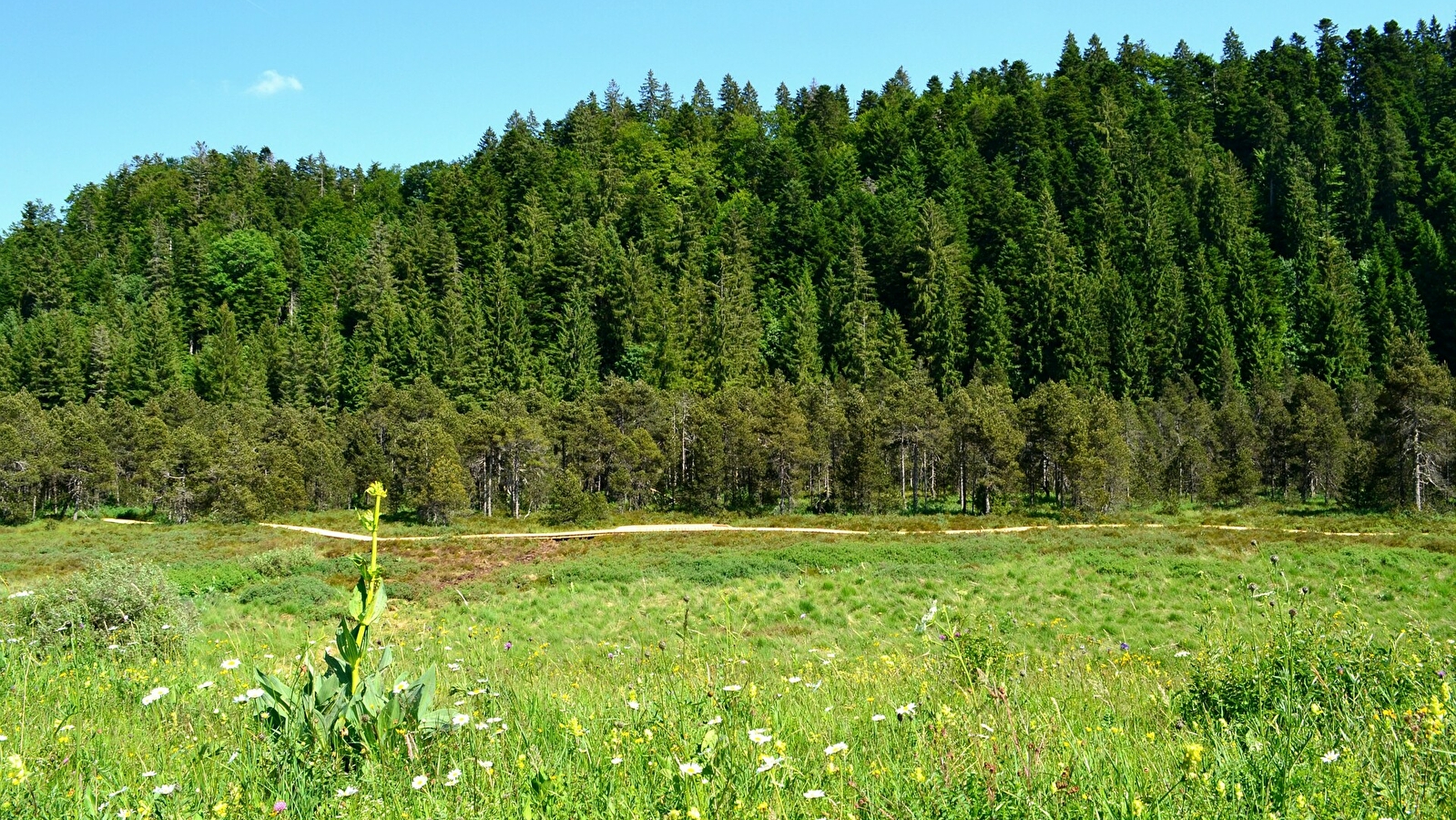 Les combes de Prénovel