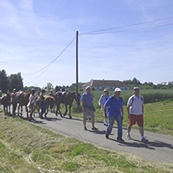 Randonnée de l'Association - LA CHAPELLE-SAINT-SAUVEUR