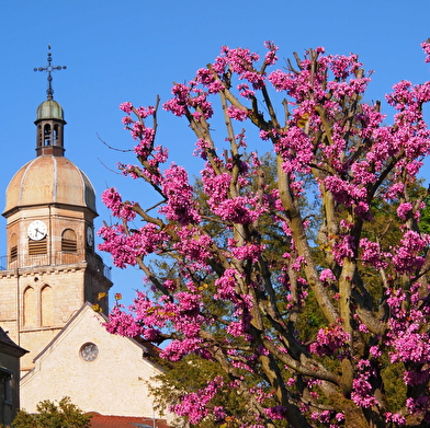 Eglise de Saint-Amour