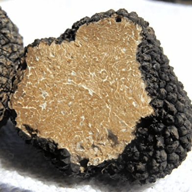 Fête de la Truffe Impériale