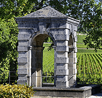 La Fontaine de Marjonzin - MERCUREY