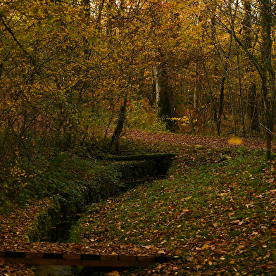 Les moulins de Champvoux