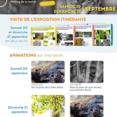 Exposition et animations · Les forêts d'altitude, des forêts de liens