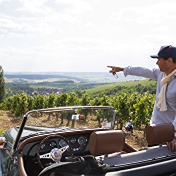 Wine Tour : Dégustation parcellaire au coeur des vignobles de Bourgogne - BEAUNE