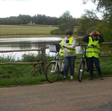 Location de vélos au 'Gîte Belle Vue'