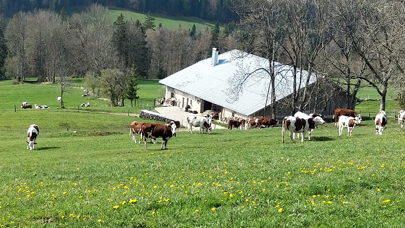 Gîte Les Pâturages