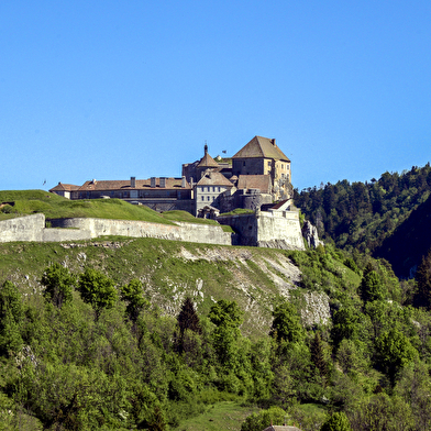 Château de Joux