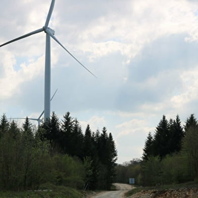 Sentier de découverte des éoliennes de Fontenelle-Montby