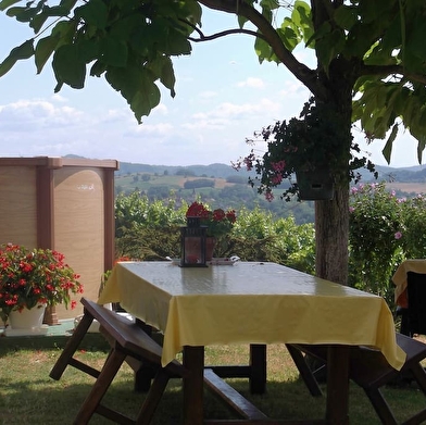 Chambres d'hôtes - la maison dans la vigne