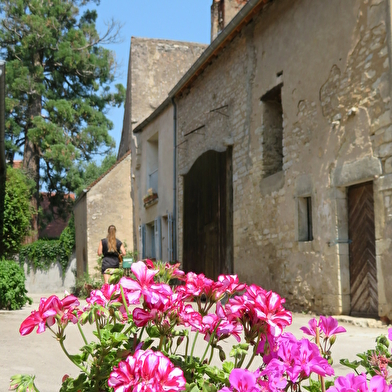 Visite guidée du village de Pesmes