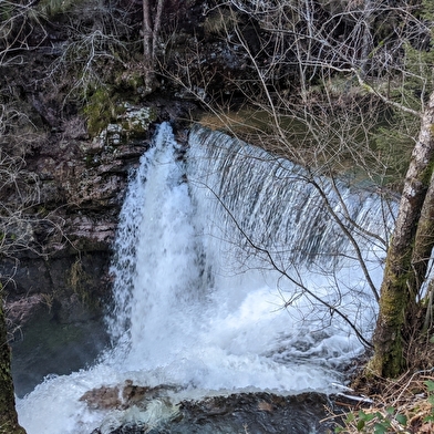 Le Saut de l'Ognon