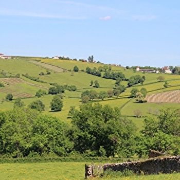 Panorama Fleurandin - FLEURY-LA-MONTAGNE